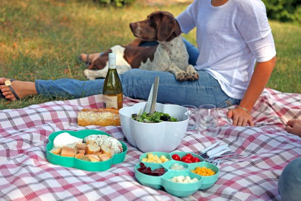idéal pour vos picnics